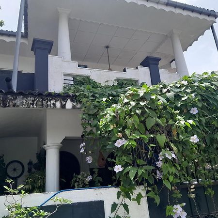 Winston Dutch Canal Villa Guest House Negombo Kültér fotó