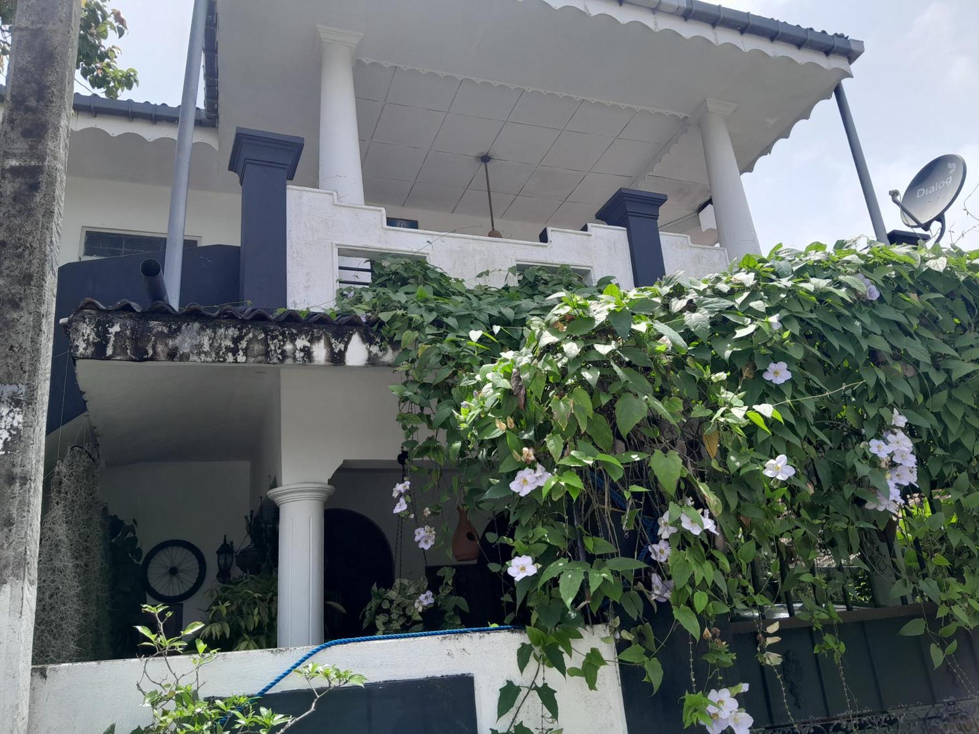 Winston Dutch Canal Villa Guest House Negombo Kültér fotó
